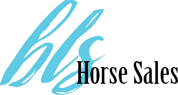 Billings Livestock Horse Sales